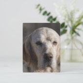 Carte postale de réglage anglais mignonne (Debout devant)