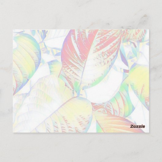 Carte postale de remerciement (Dos)