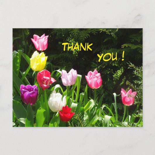 Carte postale de remerciement aux tulipes colorées (Devant)