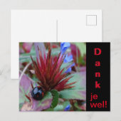 Carte postale de remerciement avec coccinelle mign (Devant / Derrière)