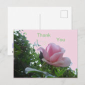 Carte postale de remerciement avec gros plan de ro (Devant / Derrière)