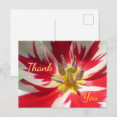 Carte postale de remerciement avec gros plan de tu (Devant / Derrière)