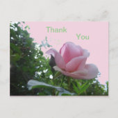Carte postale de remerciement avec gros plan sur u (Devant)