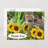 Carte postale de remerciement avec un chat mignon  (Devant / Derrière)