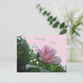 Carte postale de remerciement avec une rose rose e (Debout devant)
