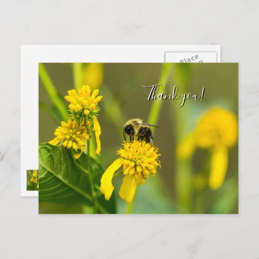 Carte postale de remerciement Bumblebee (Devant / Derrière)