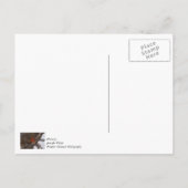 Carte postale de remerciement Cardinal sous la tem (Dos)