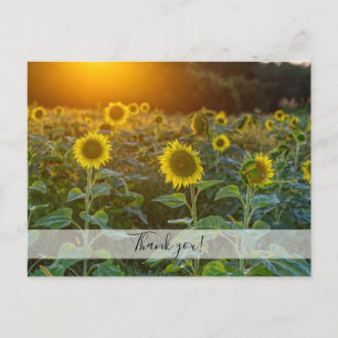 Carte postale de remerciement Coucher de soleil au