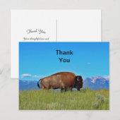 Carte postale de remerciement de Buffalo (Devant / Derrière)