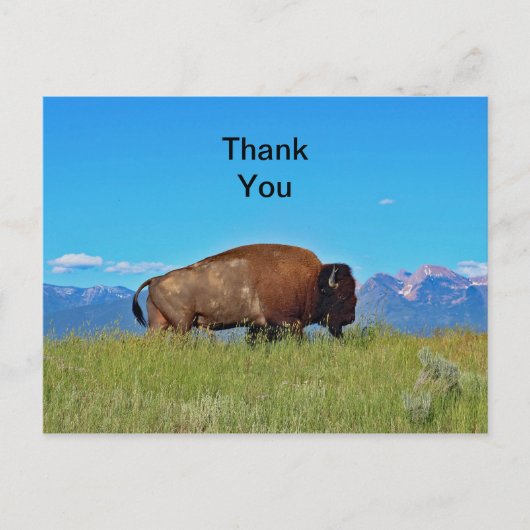 Carte postale de remerciement de Buffalo (Devant)