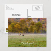 Carte postale de remerciement de couple d'élans pa (Devant / Derrière)