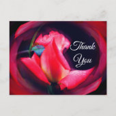 Carte postale de remerciement de fleur abstraite d (Devant)