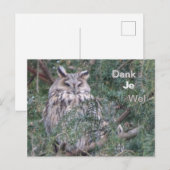Carte postale de remerciement de Hibou à longues o (Devant / Derrière)