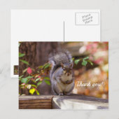 Carte postale de remerciement d'écureuil mendiant (Devant / Derrière)