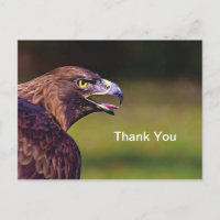 Carte postale de remerciement Faucon