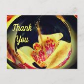 Carte postale de remerciement fleur abstraite Lily (Devant)