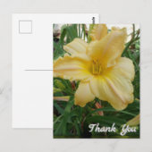 Carte postale de remerciement fleur de lily jaune (Devant / Derrière)
