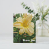Carte postale de remerciement fleur Lily jaune (Debout devant)