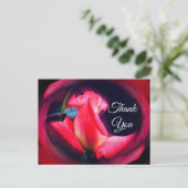 Carte postale de remerciement floral abstrait Rose (Debout devant)