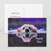 Carte postale de remerciement Golden Retriever (Devant / Derrière)