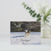 Carte postale de remerciement Husky sibérien dans (Debout devant)