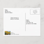 Carte postale de remerciement pour la pêche d'auto (Dos)