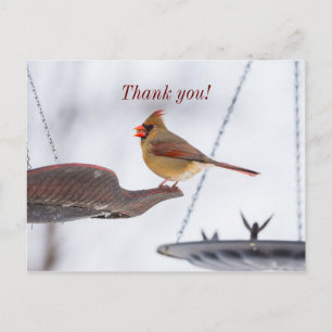 Carte postale de remerciement pour le déjeuner d'u