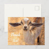 Carte postale de remerciement pour une chèvre mign (Devant / Derrière)
