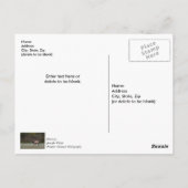 Carte postale de remerciement pour une promenade m (Dos)