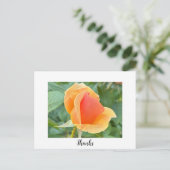 Carte postale de remerciement Rosebud (Debout devant)