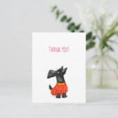 Carte postale de remerciement scottish terrier (Debout devant)