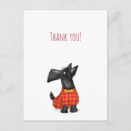 Carte postale de remerciement scottish terrier (Devant)