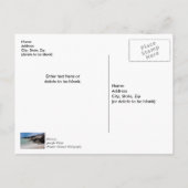 Carte postale de remerciement Shell Island Rocks A (Dos)