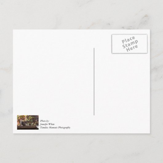 Carte postale de remerciement Squirrel Chow Time (Dos)