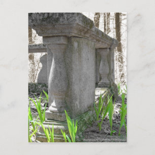 Carte postale de remise en état