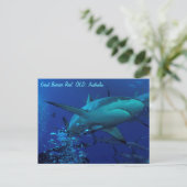 Carte postale de requin gris récif (Debout devant)