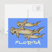 Carte postale de requins marteaux de Floride (Devant / Derrière)
