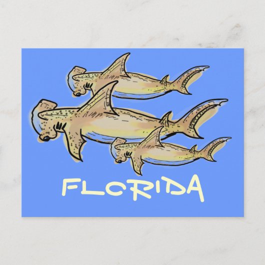Carte postale de requins marteaux de Floride (Devant)