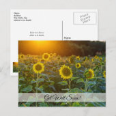 Carte postale de rétablissement au champ de tourne (Devant / Derrière)