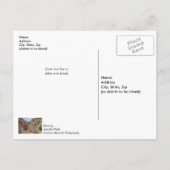 Carte postale de rétablissement de Seen Falls Colo (Dos)