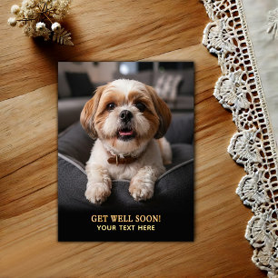 Carte postale de rétablissement pour adorable Shih