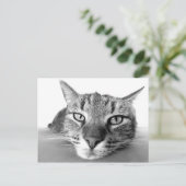 Carte postale de retrait (Debout devant)