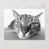 Carte postale de retrait (Devant)