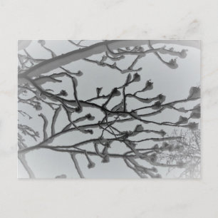 Carte postale de rêve hivernal