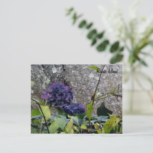 Carte postale de Rhode Island (Debout devant)