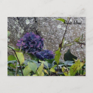 Carte postale de Rhode Island