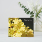 Carte postale de Rhododendron jaune (Debout devant)