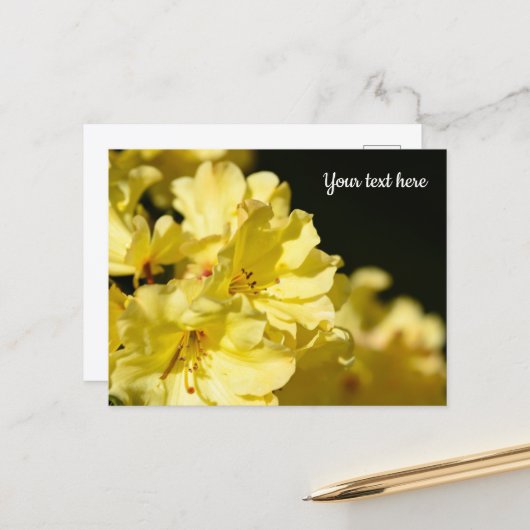 Carte postale de Rhododendron jaune (Devant/Arrière en situation)