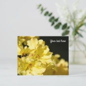 Carte postale de Rhododendron jaune (Debout devant)