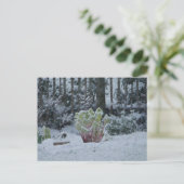 Carte postale de Rhubarbe dans la neige (Debout devant)